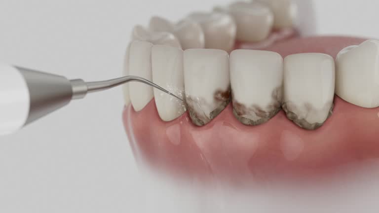 Reliable Dental contractor in Cicero, IL by Dentist Open Now